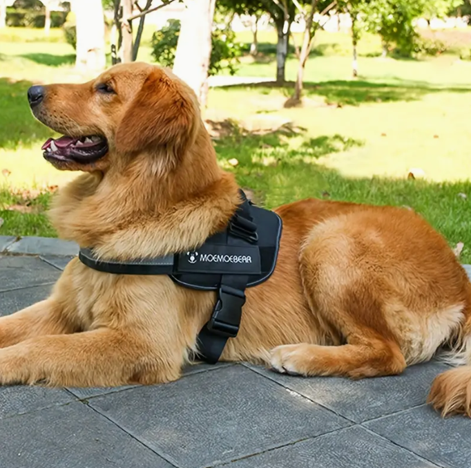 Arnés Ajustable Sin Tirones para perros
