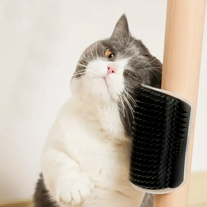 Cepillo Curvo Masajeador Montado A La Pared Para Gatos