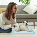Pañales Ultra-Absorbentes para Mascotas