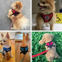 Conjunto de Arnés y Correa Reflectantes para Mascotas costo por talla*