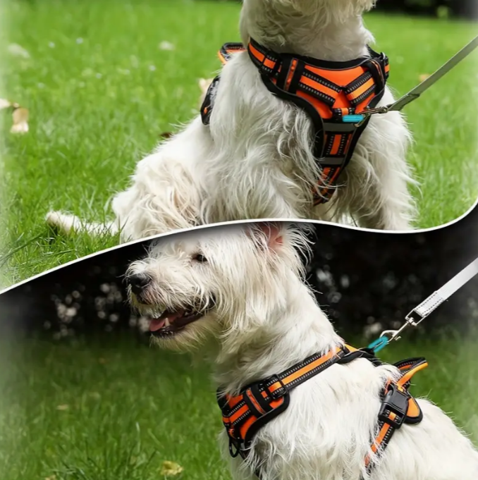 Arnés reflectante ajustable para perros