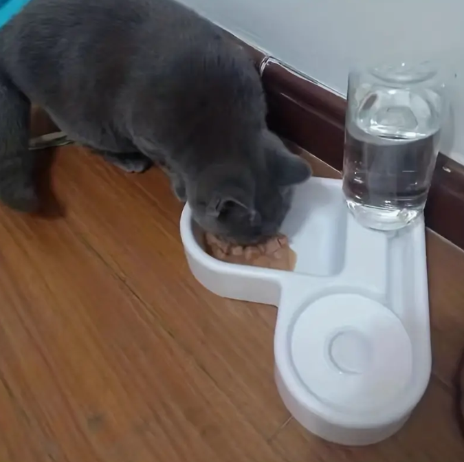 Plato de Esquina en Forma de Corazón para mascotas