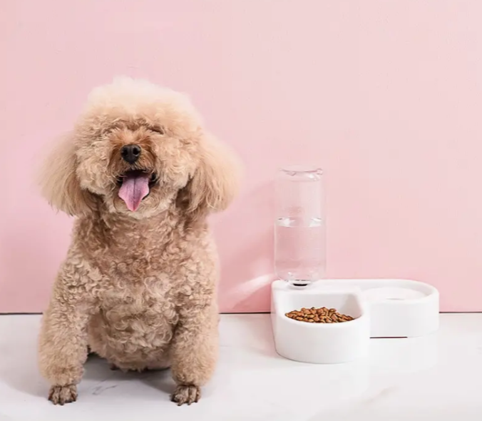 Plato de Esquina en Forma de Corazón para mascotas