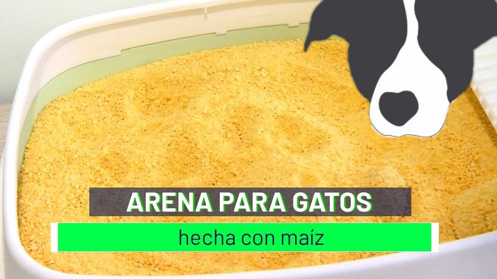 ARENA DE MAIZ 20K