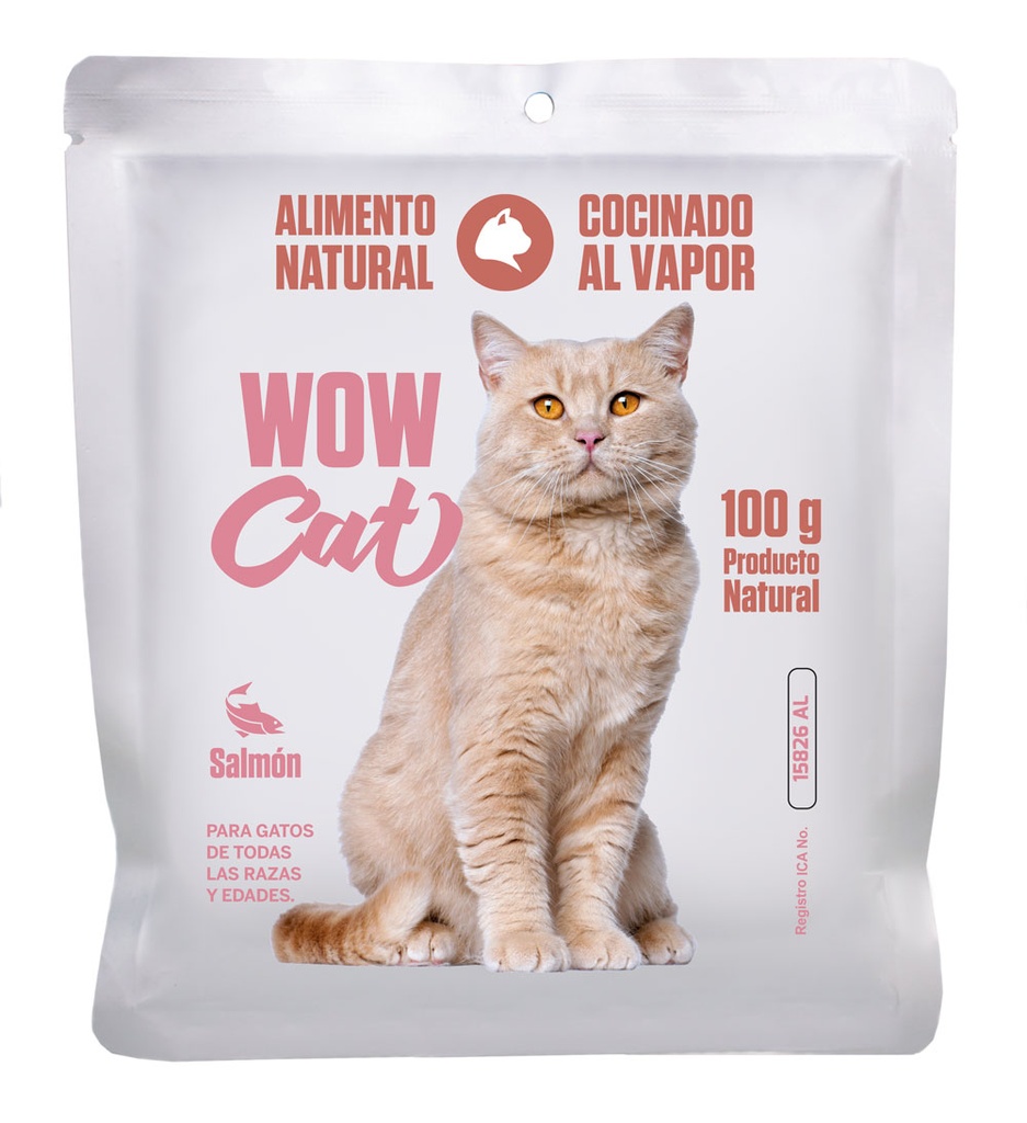 Alimento Cocinado Alimento Gato Cocinado de Salmón 100g