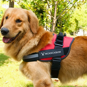 Arnés Ajustable Sin Tirones para perros