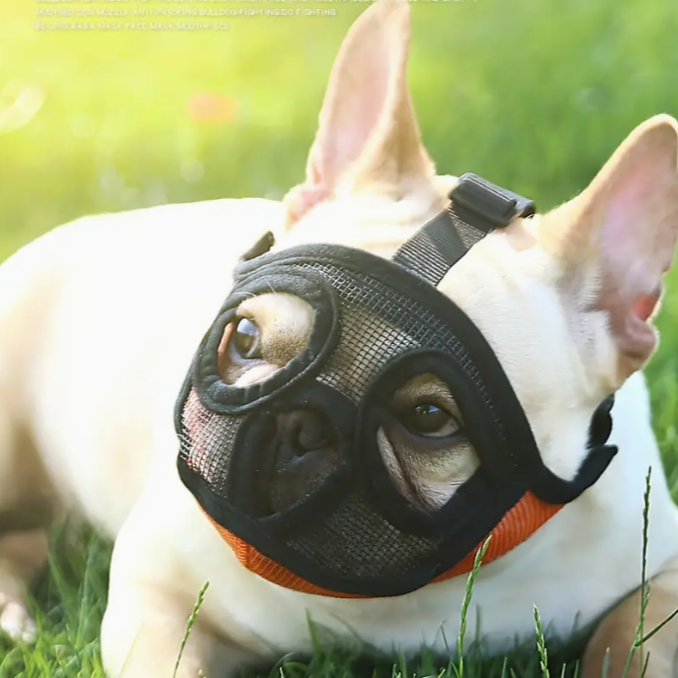 Bozal de Nylon para Perros de Hocico Corto