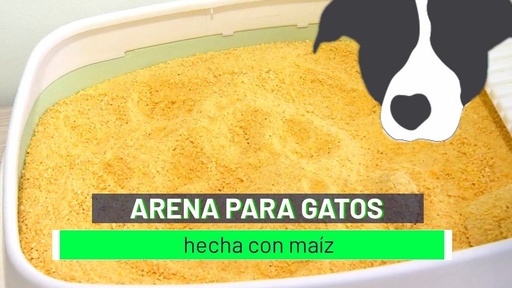 ARENA DE MAIZ 20K