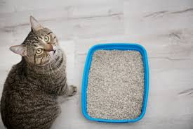 Arena Gatos italcol 4.8 Kilos