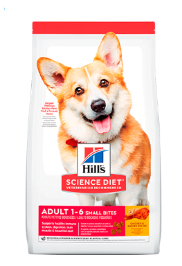 CANINE ADULT  -  MAINTENANCE C ADULT SB 4,4 LB (2 KG)                                                                                                                                                                                
