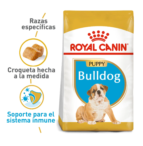 BHN BULLDOG INGLES PUPPY 12KG
