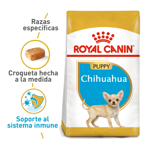 BHN CHIHUAHUA PUPPY 1.13KG
