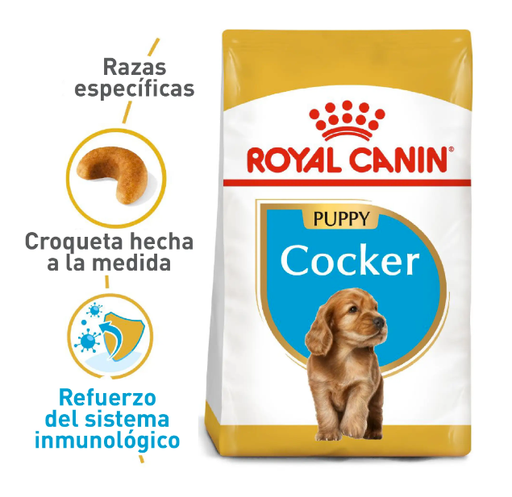 BHN COCKER PUPPY 3KG