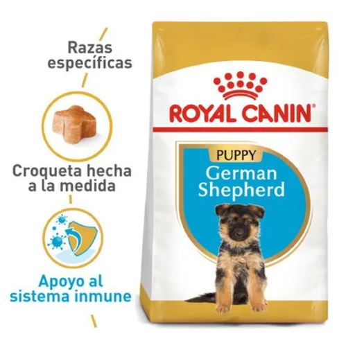 BHN GERMAN SHEPHERD PUPPY 13.6 KG