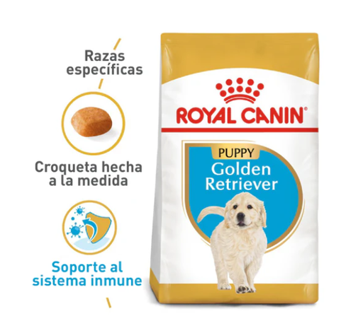 BHN GOLDEN RETRIVER PUPPY 12KG