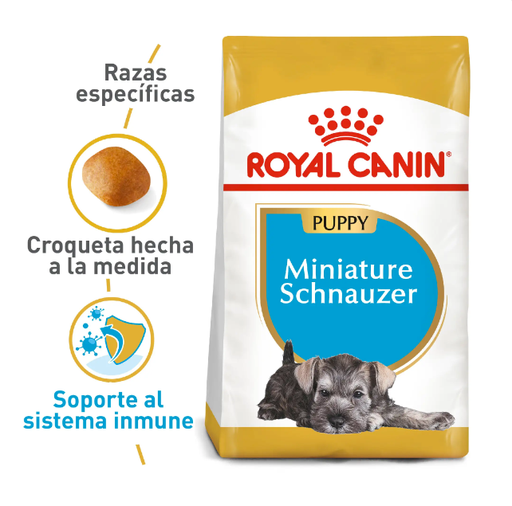 BHN MINISCHNAUZER PUPPY 1.13KG