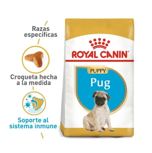 BHN PUG PUPPY 1.13KG