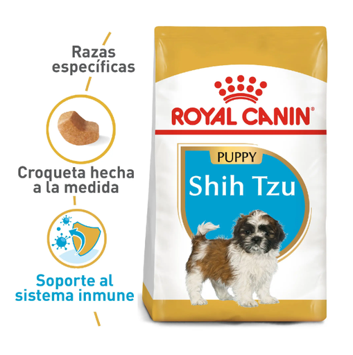BHN SHIH TZU PUPPY 1.5KG