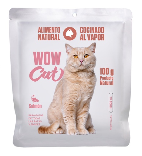 Alimento Cocinado Alimento Gato Cocinado de Salmón 100g