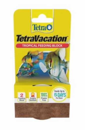 TETRA VACACIONAL