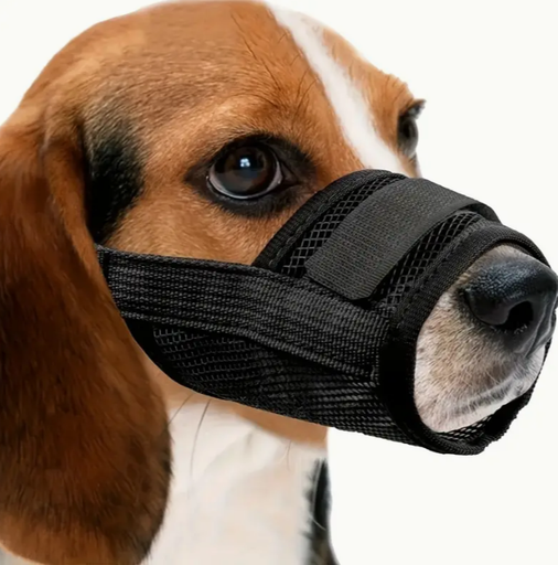 Bozal de Nylon para Perro