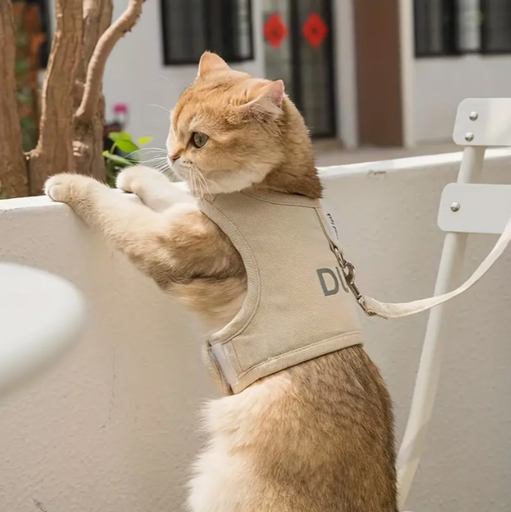 Arnés Seguro para Gatos con Correa Reflectante