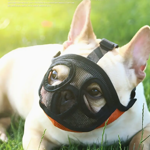 Bozal de Nylon para Perros de Hocico Corto