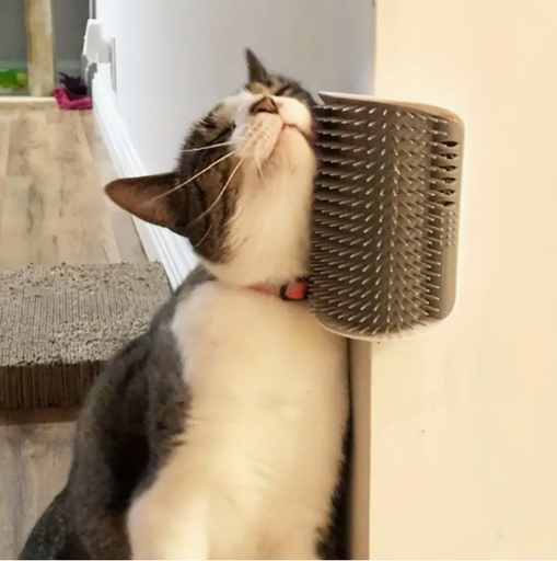 Cepillo Curvo Masajeador Montado A La Pared Para Gatos