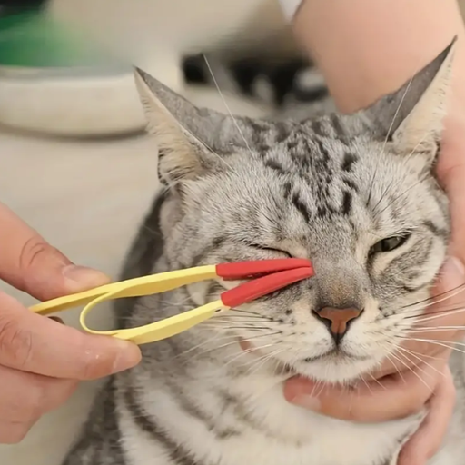 Cepillo para el Cuidado de los Ojos de Mascotas